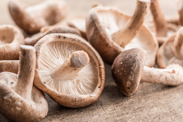 istock Shiitake mushrooms. Macro. Food background. 930865352
