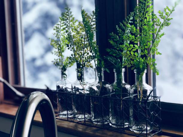 istock Series of small bottles containing small shrubs 930868222