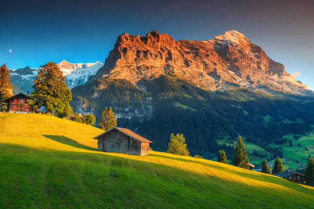 chalet alpini con campi verdi e alte montagne al tramonto - mountain snow sunset house foto e immagini stock