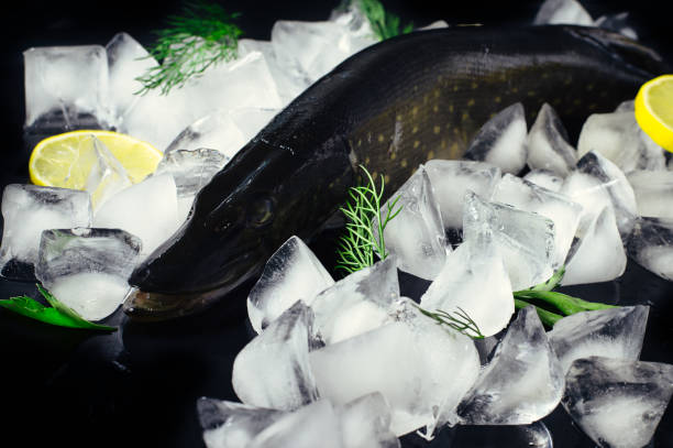istock Fresh pike fish on ice on a black table top view. Wooden rustic background. Top view. 930875762