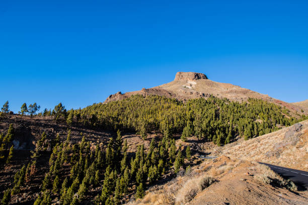 istock El Teide National Park Tenerife 930875972