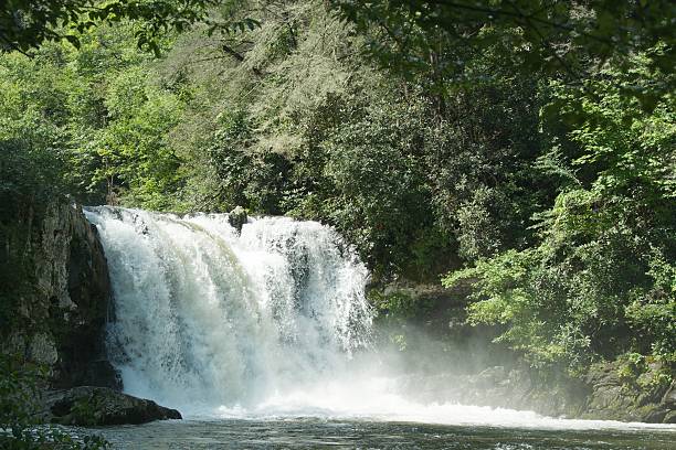 istock Abrams Falls Closeup, Great Smokey Mountains 93087682