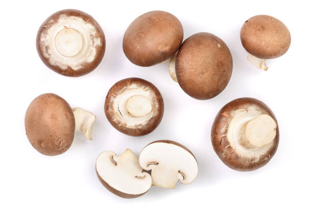 istock Fresh champignon mushrooms isolated on white background. Top view. Flat lay 930879656