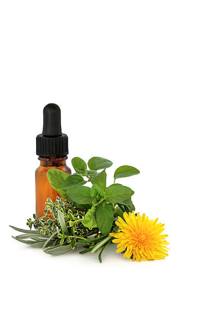 herb-therapie - alternative medicine herbal medicine aromatherapy oil herb stock-fotos und bilder