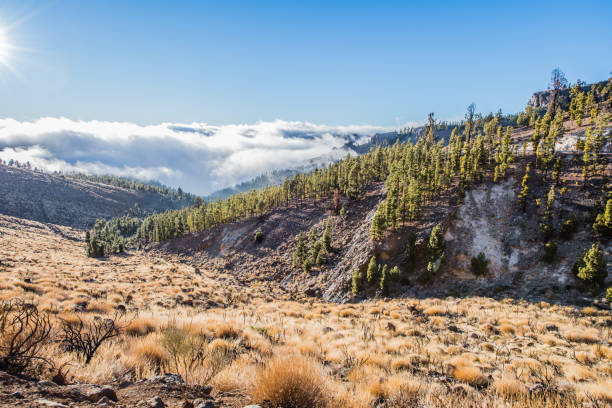 istock El Teide National Park Tenerife 930885238
