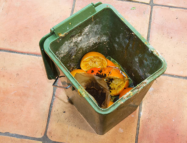 Dirty compost bucket. stock photo