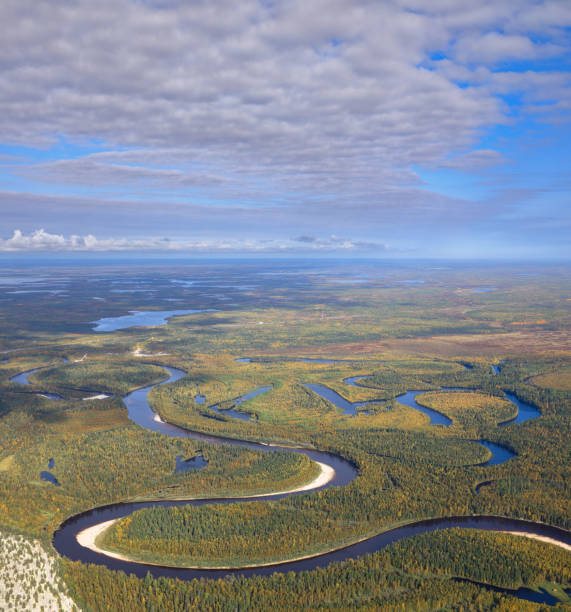 istock Top view of forest river in autumn 930889478