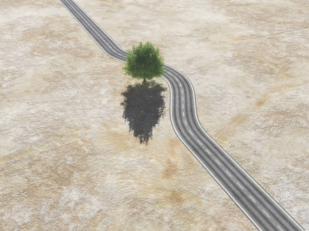istock With a tree in the middle of the road 930893018