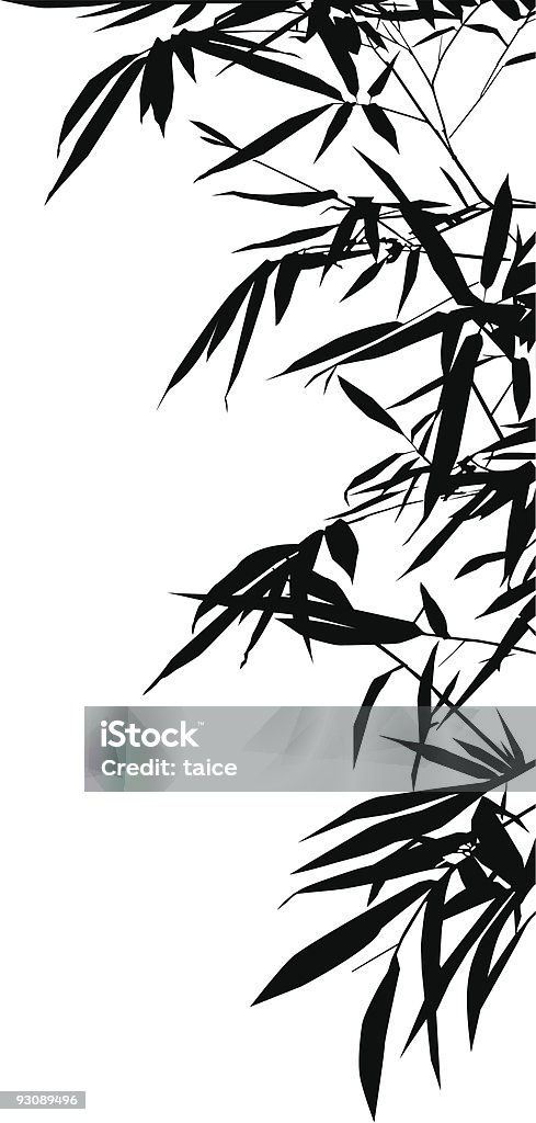Bamboo Leafs  Bamboo - Plant stock vector