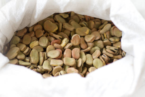 Dried fava beans in a large white sack (close-up). Some copy space available at the bottom of the frame on the white sack.