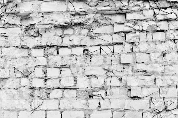 Photo of Part of the wall of white brick with pieces of rebar of an old building for demolition.