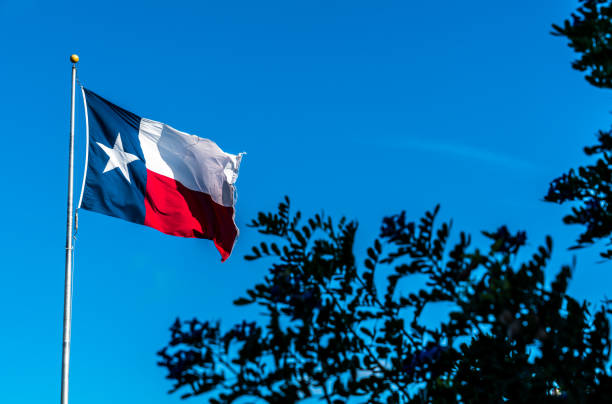 istock Perfect Texas State Flag on perfect flagpole with trees 930910780