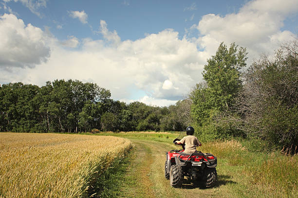 Man riding red all terrain vehicle on a farm stock photo