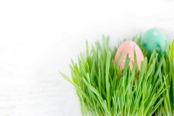 istock Easter eggs and fresh green grass on white wooden background. Top view with copy space. Easter holiday decorations 930928560