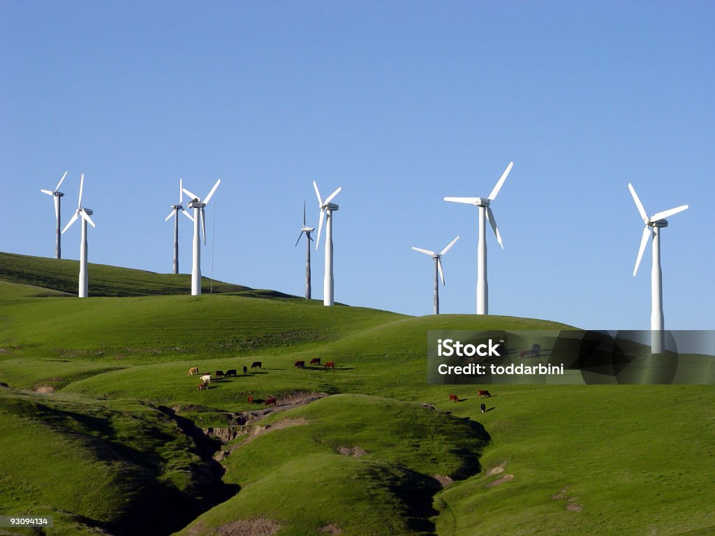 Wind Turbines et le Pâturage du bétail en Californie - Photo de Éolienne libre de droits