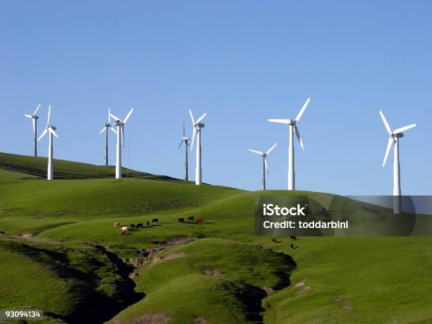 Photo libre de droit de Wind Turbines Et Le Pâturage Du Bétail En Californie banque d'images et plus d'images libres de droit de Éolienne