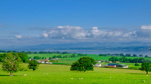 Scottish green landscape in West Lothian, central Scotland