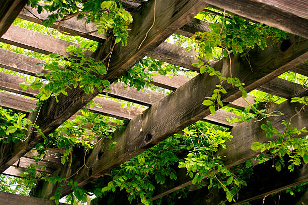 istock Wooden Trellis With Hanging Plants 93095857