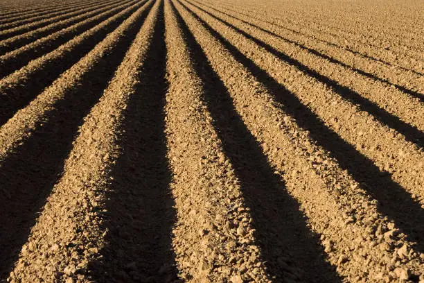 Photo of Ploughed Field on a Farm