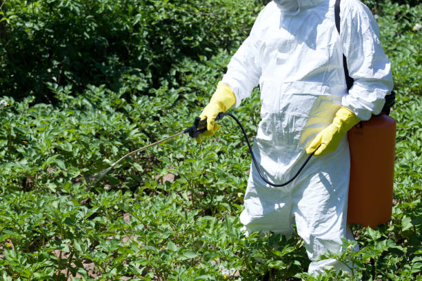 istock Farmer spraying pesticides 930966470