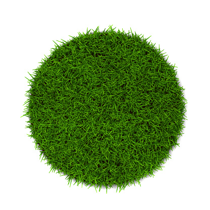 Green grass lawn. 3d illustration isolated on white background