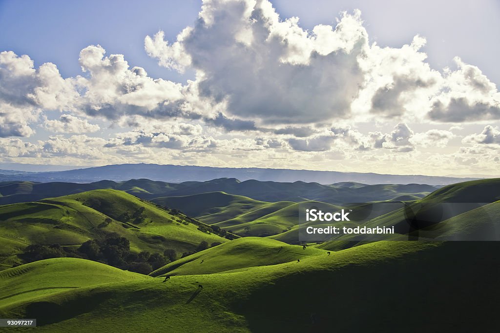 Verdi colline e bestiame - Foto stock royalty-free di Ambientazione esterna