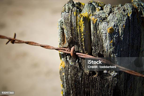 Ogrodzenie Post Z Zardzewiały Drut Kolczasty - zdjęcia stockowe i więcej obrazów Bez ludzi - Bez ludzi, Drut kolczasty, Fotografika