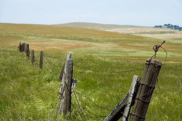 istock Barbed Wire Fence in a Field 93097477
