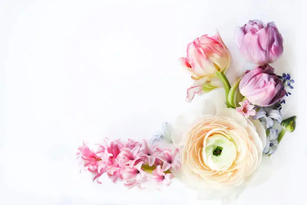 Photo of Festive invitation card with beautiful flowers