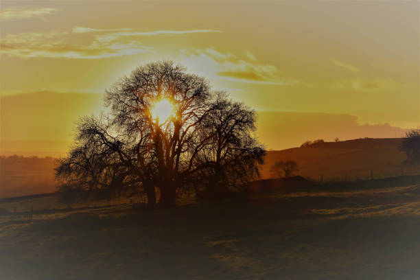 istock sunsets over somerset in england 930982008