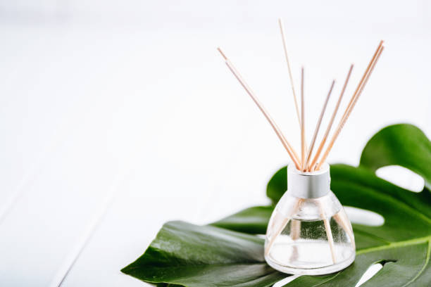 istock Air refresher bottle and leaf of a monstera with white background. Copyspace for your text 930984260