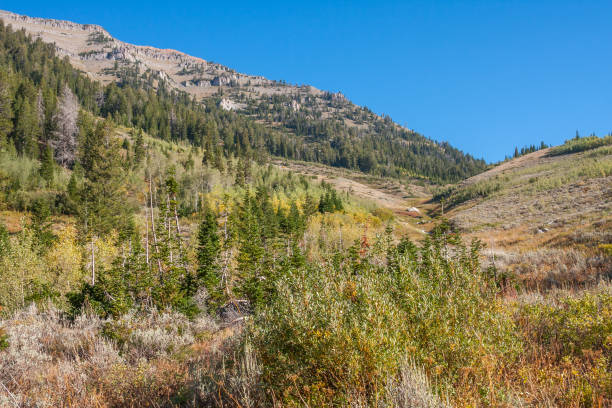 istock The Grand Tetons 930985008