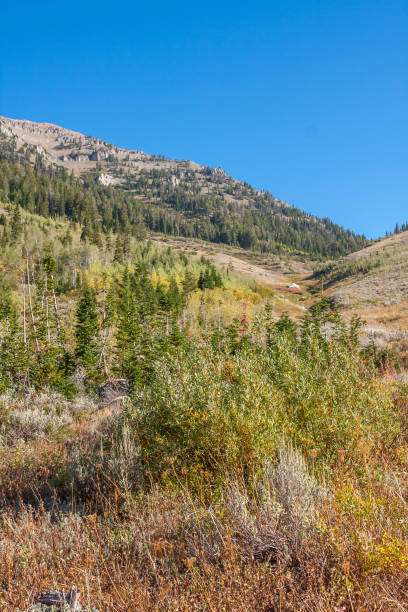istock The Grand Tetons 930988484
