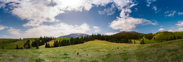 istock beautiful panorama of mountainous area in spring 930988554