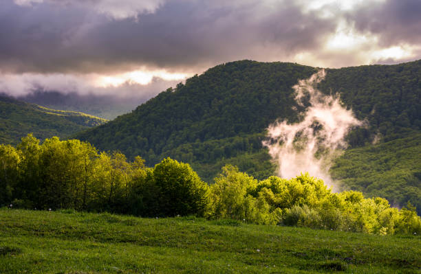 istock fog rising above the forest on hillside 930989182