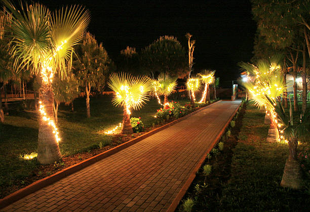 istock Road to sea beach at night 93099438