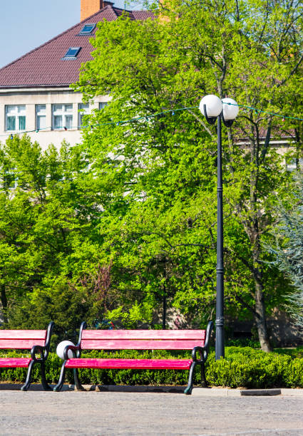 istock wooden benches under the lantern in city park 930999824