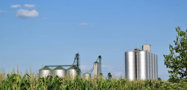 istock Metal silo in corn farm 931011340