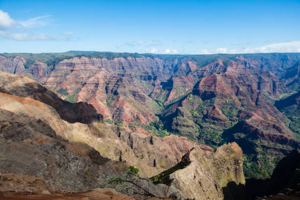istock Waimea canyon on Kauai, Hawaii 931017958