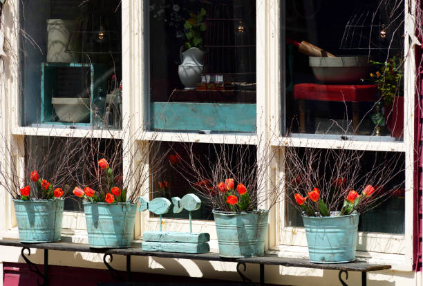 istock Red Tulips in Metal Containers in a Window in the Springtime 931021930