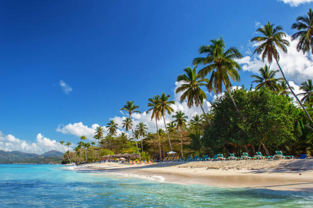 istock perfect empty Caribbean sandy beach with clear water and green palm trees 931022226