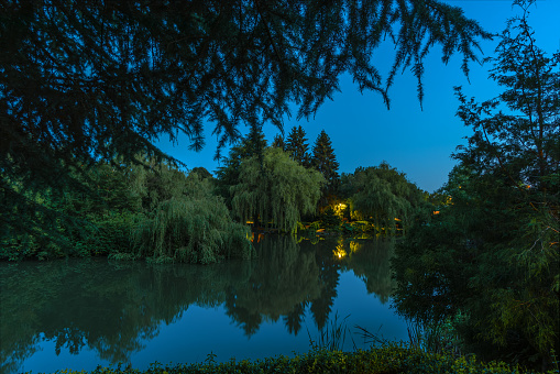 lake in the park with reflection in the water of trees and light from a street lamp, green bushes and a blue sky in the summer twilight