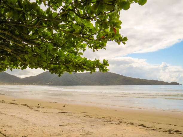 istock View of the beach with bay in the background 931037498