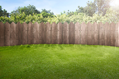 Wooden fence on green garden with sunlight background