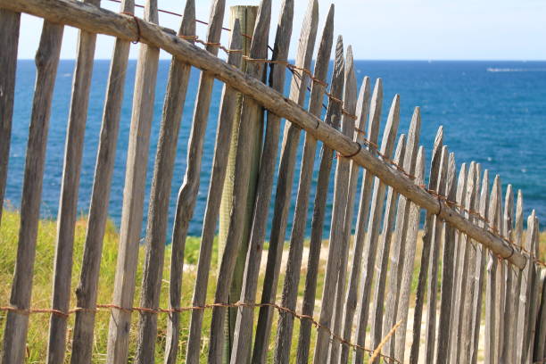 istock close up on wooden fence with ocean view 931041048