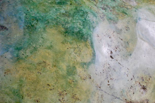 istock Pounamu, New Zealand's Green Nephrite Jade 931046732