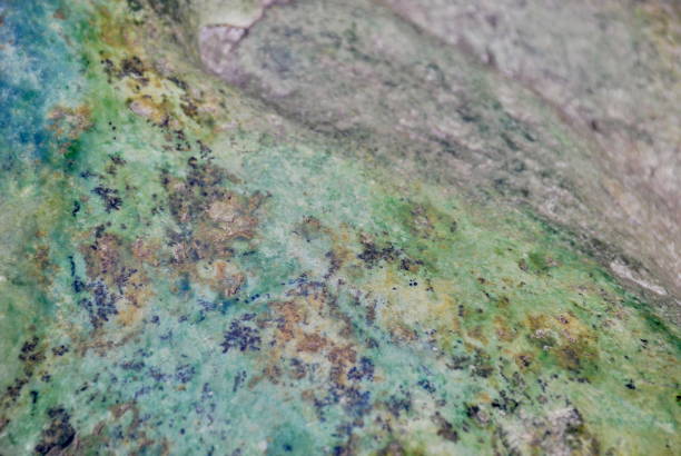 istock Pounamu, New Zealand's Green Nephrite Jade 931046830
