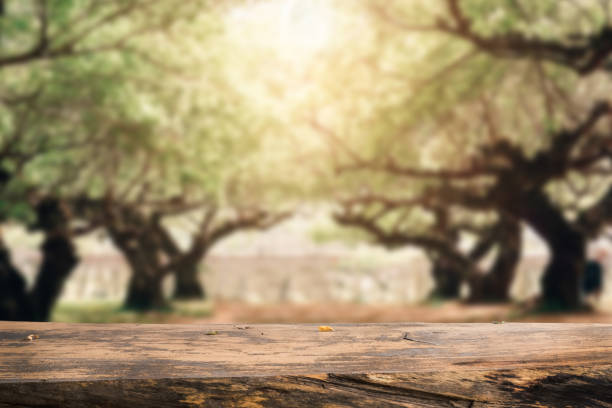 istock Wooden table. Spring design with forest and empty display. Space for your montage 931050614