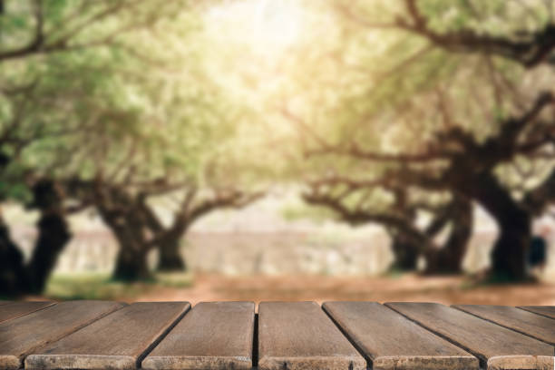 istock Wooden table. Spring design with forest and empty display. Space for your montage 931050620