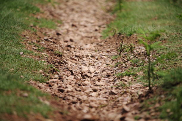 close up of brown soil ground footpath